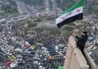 احتفالات ملحمية في ساحة الأمويين بدمشق إحياءً للذكرى الأولى لسقوط نظام بشار الأسد