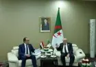 مصر والجزائر تعززان الشراكة الصناعية في صناعة الأدوية وتعززان الأمن الصحي