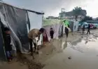 الأمطار تهدد حياة النازحين في غزة والجهود الإنسانية تواجه عوائق برفض دخول إمدادات الطوارئ حسب المنظمة الدولية للهجرة