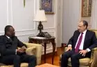 وزير الخارجية يبرز دعم مصر لتطوير قطاع الصحة والأمن الدوائي في أفريقيا