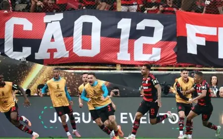 فلامنغو يحصد كأس ليبرتادوريس بعد هدف دانيلو في نهائي برازيلي مثير