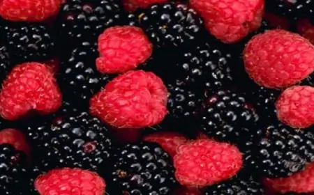 اكتشف 4 أنواع فاكهة أساسية يجب تناولها في الشتاء لصحة مثالية