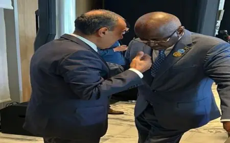 وزير الخارجية يؤكد اعتزاز مصر بأواصر التعاون مع موريتانيا الشقيقة