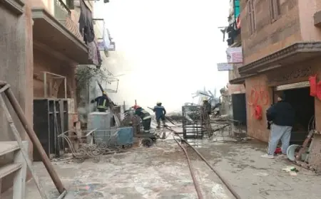 وزير الثقافة يعلن السيطرة على حريق في موقع تصوير مفتوح باستوديو مصر دون وقوع خسائر بشرية