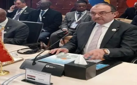 وزير قطاع الأعمال يؤكد ريادة مصر في صناعة الأدوية واستعدادها لدعم توطين الصناعة في أفريقيا