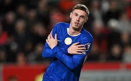 ماريسكا يعلن موقف بالمر من مباراة أرسنال في الدوري الإنجليزي الممتاز