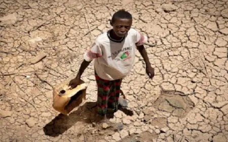 الأمم المتحدة تصدر تحذيراً بشأن حالة الطوارئ في الصومال نتيجة الجفاف وانقطاع الأمطار مما يهدد ملايين الأشخاص بالجوع