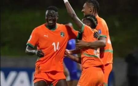 كوت ديفوار تنطلق في معسكر تدريبي في إسبانيا استعداداً للدفاع عن لقب كأس أفريقيا