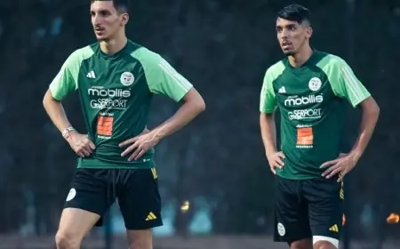 عادل بولبينة يكشف لماذا تسعى جميع المنتخبات للتفوق على الجزائر