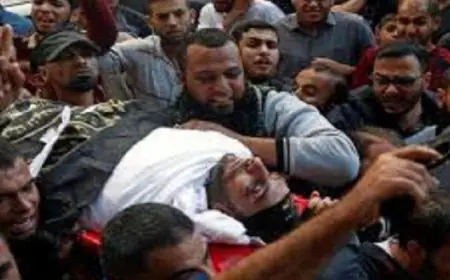 الأرصاد تعلن عن طقس معتدل نهاراً وبارد ليلاً وعظمى 25 درجة بالقاهرة غداً