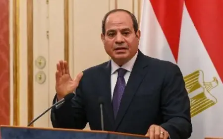 الرئيس السيسي يشيد بإنجاز منتخب مصر للكاراتيه بعد تصدره العالم في الترتيب العام