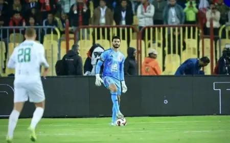 الشناوي يعود إلى الملاعب بعد التعافي من الإصابة وينضم إلى معسكر المنتخب