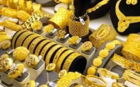 أبو الغيط يؤكد استمرار إسرائيل في التصعيد العسكري لتعطيل اتفاق وقف إطلاق النار