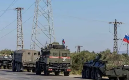 الصحة تعلن عن فحص أكثر من 6.1 مليون طالب في مبادرة الرئيس السيسي للكشف المبكر عن الأنيميا والسمنة والتقزم