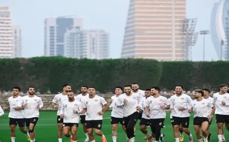 معلومات الوزراء تكشف أحدث توقعات فيتش الأمريكية لأداء قطاع السياحة في مصر حتى 2026