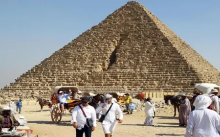 منظمة العفو الدولية تسلط الضوء على الإصلاحات الواعدة في سوريا مع استمرار غياب الديمقراطية