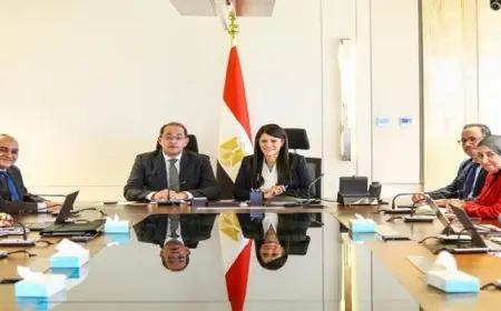 اجتماع تنسيقي بين المشاط وكوجك لمتابعة مستجدات الاقتصاد المصري