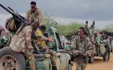 القوات الخاصة الصومالية تنفذ عملية استباقية ناجحة ضد الإرهاب في شبيلي الوسطى