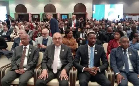 وزير قطاع الأعمال يساهم في الجلسة الافتتاحية للمؤتمر الأفريقي الوزاري في الجزائر