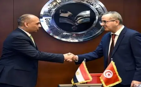 مصر وتونس تشهدان الاجتماع الرابع للجنة الفنية لتعزيز التعاون الاستثماري وتعزيز العلاقات الاقتصادية