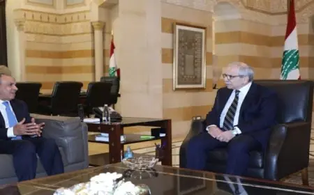 وزير الخارجية ونظيره الأردني يتمسكان بمواصلة الجهود لوقف إطلاق النار في غزة وتنفيذ اتفاق شرم الشيخ للسلام