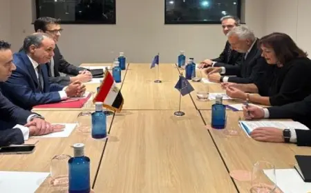 وزير الخارجية يؤكد على تزايد الزخم في العلاقات المصرية الأوروبية