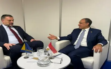 وزير الخارجية يعبر عن حرصه على تعزيز العلاقات بين مصر والبوسنة والهرسك في جميع المجالات