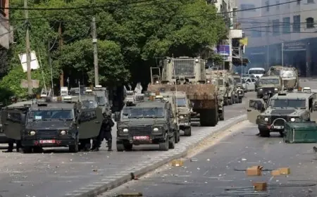 مفتى الجمهورية يدعو إلى جعل اليوم العالمي للتضامن مع الشعب الفلسطيني نداء أخلاقي يوقظ ضمير الإنسانية