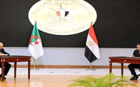 الأرصاد الجوية تكشف عن طقس معتدل اليوم مع حرارة تصل إلى 26 درجة في القاهرة