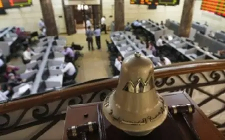 مصر تحصد عضوية مجلس المنظمة البحرية الدولية من 2026 إلى 2028