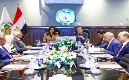 الأرصاد الجوية تكشف تفاصيل طقس اليوم المعتدل نهاراً والمائل للبرودة ليلاً والعظمى في القاهرة 23 درجة