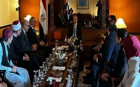 وزير الخارجية يؤكد اهتمام مصر الكبير بالجاليات المصرية حول العالم