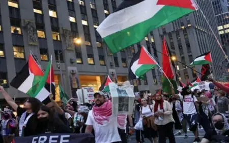 وزير العمل يراجع خطة إنشاء نظام إلكتروني متكامل لخدمات الوزارة لتعزيز الكفاءة والشفافية