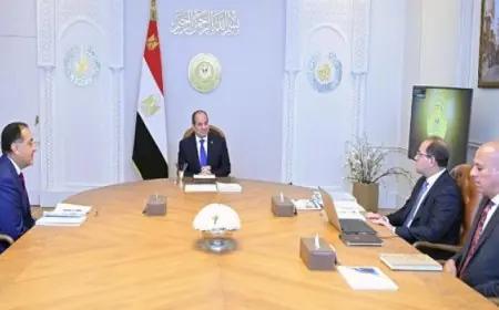 الرئيس السيسى يطلق حزمة التسهيلات الضريبية الثانية ويشدد على أهمية تطوير النظام الاقتصادي