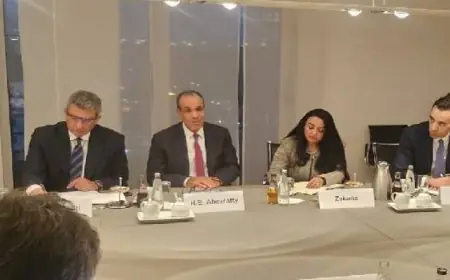 وزير الخارجية يوضح التزام الدولة بتعزيز مشاركة القطاع الخاص في تعزيز النمو الاقتصادي