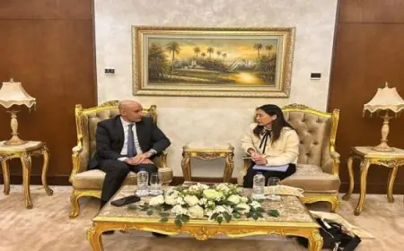 وزير التعليم يناقش مع نائب رئيس هيئة جايكا تعزيز التعاون في مشروع المدارس المصرية اليابانية