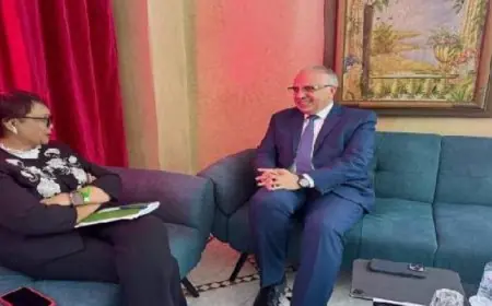 وزير الرى يؤكد أن مصر من أبرز الدول المطالبة بتعيين مبعوث خاص للأمم المتحدة لتناول قضايا المياه