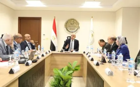 اجتماع وزيري الخارجية المصري والألماني في برلين لتعزيز التعاون السياسي