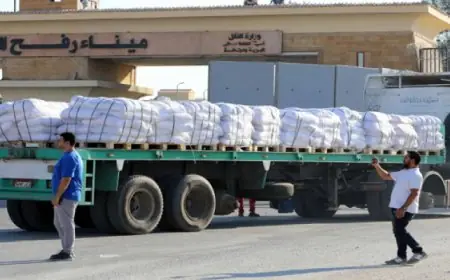 قافلة زاد العزة 85 تصل إلى قطاع غزة لمساعدة الفلسطينيين