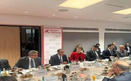 وزير الخارجية يدعو لتعاون دولي قوي لتحقيق السلام ووقف إطلاق النار في غزة