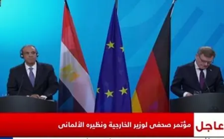 وزير الخارجية الألماني يشيد بجهود مصر الكبيرة لترسيخ الاستقرار في المنطقة وإنهاء النزاع في غزة