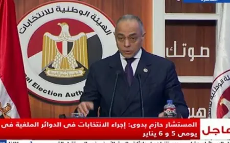 المستشار أحمد بندارى يؤكد أهمية انتخابات مجلس النواب كمسئولية وأمانة لكافة الأطراف المعنية في الاستحقاق الدستوري