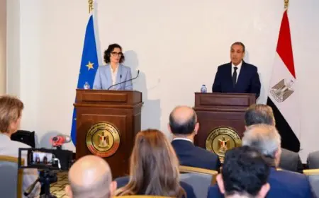 وزير الخارجية يشدد على أهمية جذب استثمارات ألمانية جديدة لتعزيز الاقتصاد