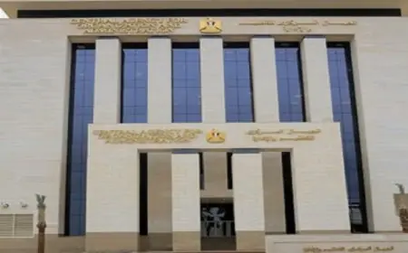 التنظيم والإدارة تعلن عن موافقة رئيس الوزراء على نقل 1108 موظفين منتدبين إلى جهاتهم الجديدة