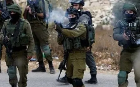 وزير الدولة للإنتاج الحربي يستقبل وفد وزارة الدفاع الفيتنامية لتعزيز التعاون العسكري المشترك