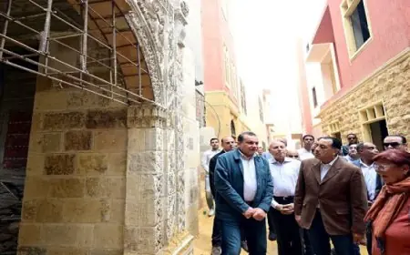 وزير الصحة يؤكد أهمية تعزيز التعاون الصحي مع السفير السويسري