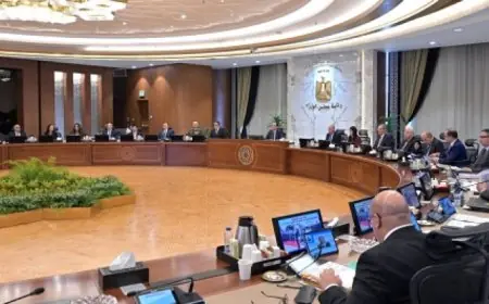 مجلس الوزراء يكشف عن تقرير إنجازات الهيئة العامة للرعاية الصحية بين يناير ويونيو 2025