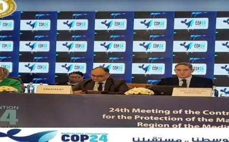 الأطراف المتعاقدة في اتفاقية برشلونة COP24 تستمر في فعاليات اليوم الثاني من الاجتماعات الجانبية