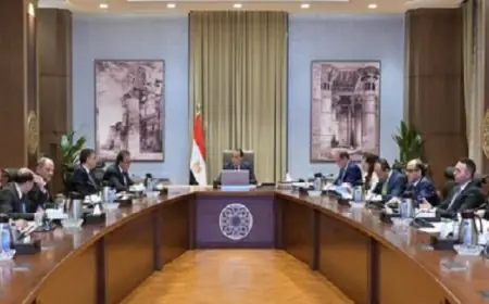 رئيس الوزراء يراقب تطورات توفر الأدوية وسداد مستحقات شركات صناعة الدواء