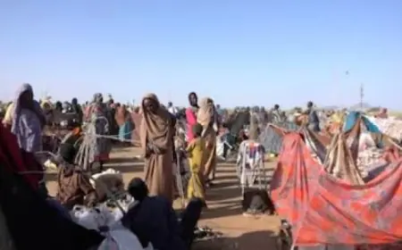 الدعم السريع يحتجز ناجين من حصار الفاشر للمطالبة بفدية